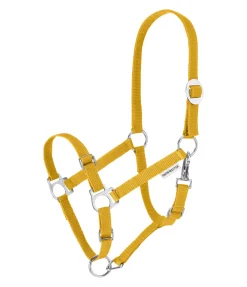 Online Licol poulain et shetland Grow With You Licols Pour Poneys & Poulains