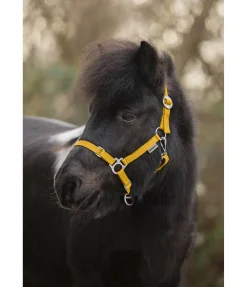 Online Licol poulain et shetland Grow With You Licols Pour Poneys & Poulains