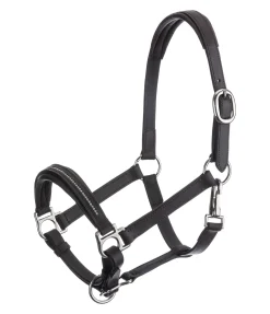 Licol poulain et shetland en cuir orné de strass Selina Licols Pour Poneys & Poulains|Licols En Cuir