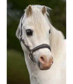 Licol poulain et shetland en cuir orné de strass Selina Licols Pour Poneys & Poulains|Licols En Cuir