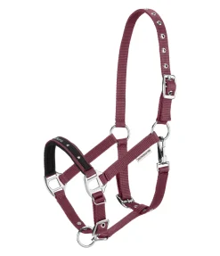 Best Licol poulain et shetland Future Star Licols Pour Poneys & Poulains|Licols Synthétiques