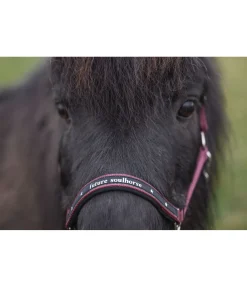 Best Licol poulain et shetland Future Star Licols Pour Poneys & Poulains|Licols Synthétiques