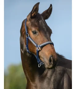 Online Licol poulain et shetland Blaire Licols Pour Poneys & Poulains|Licols Synthétiques