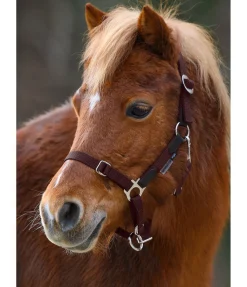 New Licol poulain et shetland Katy Licols Synthétiques|Licols En Cuir