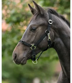 Outlet Licol poulain et shetland Grow With You Licols Pour Poneys & Poulains