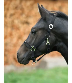 Outlet Licol poulain et shetland Grow With You Licols Pour Poneys & Poulains