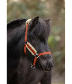 Sale Licol poulain et shetland en polaire Teddy Cozy Adjustable Fourrure D'Agneau|Licols Pour Poneys & Poulains
