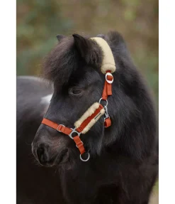 Sale Licol poulain et shetland en polaire Teddy Cozy Adjustable Fourrure D'Agneau|Licols Pour Poneys & Poulains