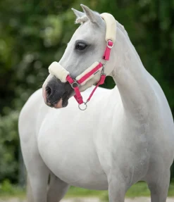 Best Licol poulain et shetland en polaire Teddy Cozy Adjustable Fourrure D'Agneau|Licols Pour Poneys & Poulains