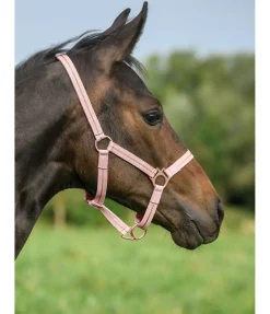 Online Licol poulain et shetland Shimmering Licols Pour Poneys & Poulains|Licols Synthétiques