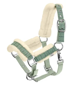 Outlet Licol pour poulain et shetland Shine Licols Pour Poneys & Poulains|Longes