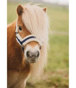 Hot Licol pour poulain et shetland Shine Licols Pour Poneys & Poulains|Longes