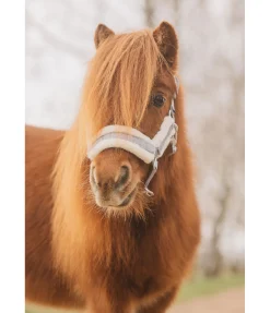 Discount Licol pour poulain et shetland Shine Licols Pour Poneys & Poulains|Longes
