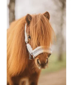 Discount Licol pour poulain et shetland Shine Licols Pour Poneys & Poulains|Longes
