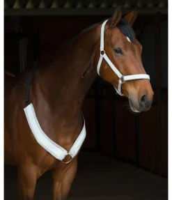 Licol réfléchissant Shiny Licols Pour Poneys & Poulains|Licols De Sécurité