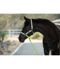 Best Licol réfléchissant Shiny Licols Pour Poneys & Poulains|Licols De Sécurité