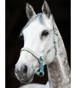 Outlet Licol réfléchissant Shiny Licols Pour Poneys & Poulains|Licols De Sécurité