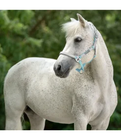 Outlet Licol réfléchissant Shiny Licols Pour Poneys & Poulains|Licols De Sécurité