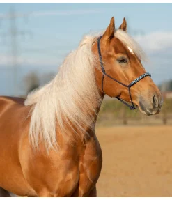 Discount Licol sans noeuds Bonny Licols À Noeuds