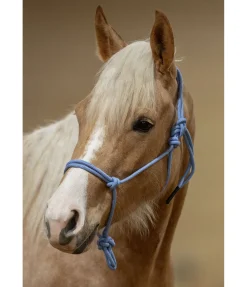 Sale Licol éthologique Bo Licols À Noeuds