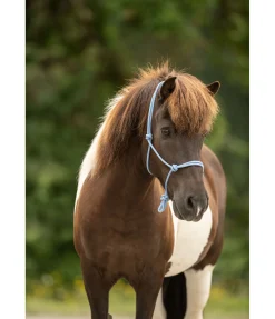 Sale Licol éthologique Bo Licols À Noeuds