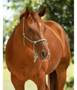 Online Licol éthologique Bo Licols À Noeuds