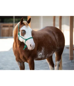 Hot Licol éthologique Bo Licols À Noeuds