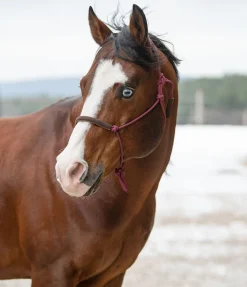 Best Licol éthologique Cuero Licols À Noeuds
