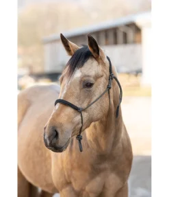 Outlet Licol éthologique Cuero Licols À Noeuds