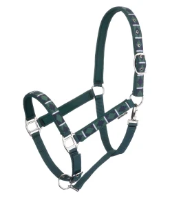 Best Licol tricolore Licols Pour Poneys & Poulains|Licols Synthétiques