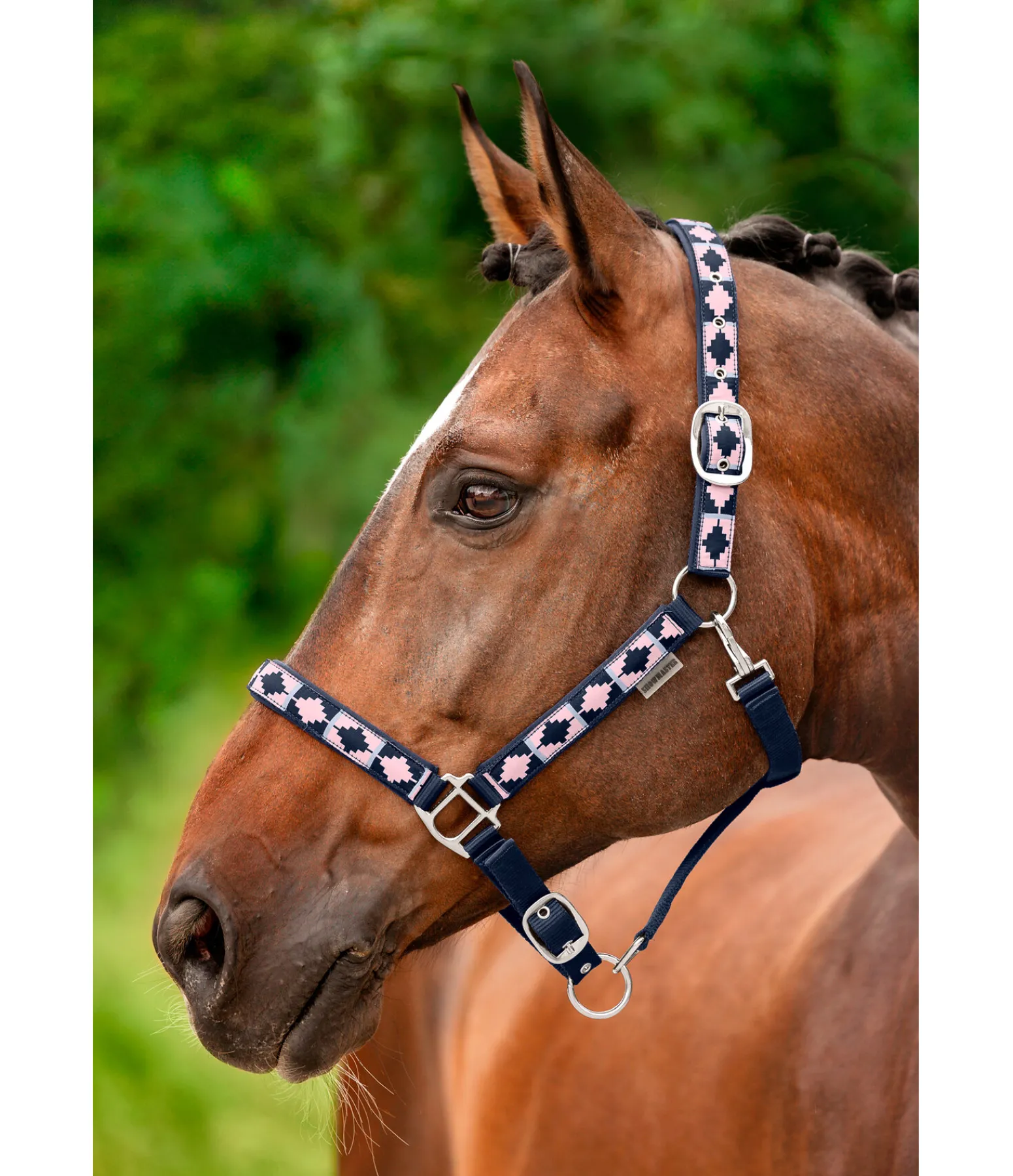 Sale Licol tricolore Licols Pour Poneys & Poulains|Licols Synthétiques