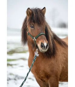 Sale Longe Bjarki Longes