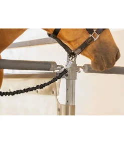 Discount Longe d'attache de transport Flexi Rangements & Supports|Equipement De Carrière & Manège