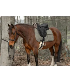 New Longe de randonnée 2 en1 Pinewood Longes