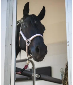 Clearance Longe pour van Accessoires Pour Vans