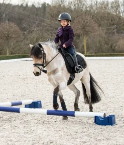 Hot Lot de 6 mini-blocs pour cavalettis Equipement De Carrière & Manège