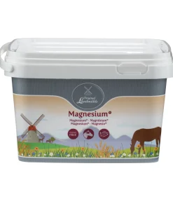 Online Magnésium + Aliments Complémentaires