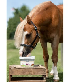 Online Magnésium + Aliments Complémentaires