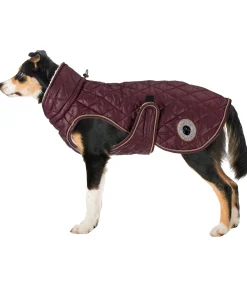New Manteau avec doublure en polaire Teddy pour chien Archie, 160 g Manteaux D'Hiver Avec Garnissage, À Partir De 50G
