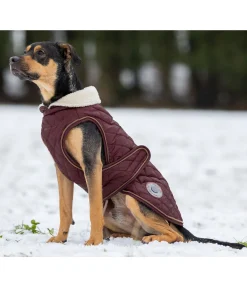 New Manteau avec doublure en polaire Teddy pour chien Archie, 160 g Manteaux D'Hiver Avec Garnissage, À Partir De 50G
