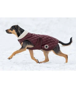 New Manteau avec doublure en polaire Teddy pour chien Archie, 160 g Manteaux D'Hiver Avec Garnissage, À Partir De 50G