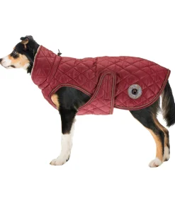 Sale Manteau avec doublure en polaire Teddy pour chien Archie, 160 g Manteaux D'Hiver Avec Garnissage, À Partir De 50G