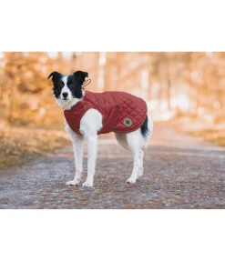 Sale Manteau avec doublure en polaire Teddy pour chien Archie, 160 g Manteaux D'Hiver Avec Garnissage, À Partir De 50G