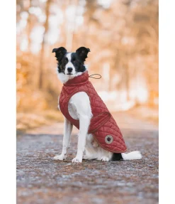 Sale Manteau avec doublure en polaire Teddy pour chien Archie, 160 g Manteaux D'Hiver Avec Garnissage, À Partir De 50G