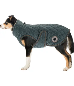 New Manteau avec doublure en polaire Teddy pour chien Archie, 160 g Manteaux D'Hiver Avec Garnissage, À Partir De 50G