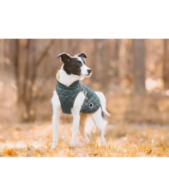 New Manteau avec doublure en polaire Teddy pour chien Archie, 160 g Manteaux D'Hiver Avec Garnissage, À Partir De 50G