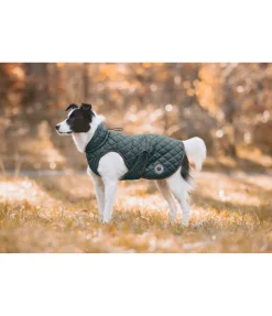 New Manteau avec doublure en polaire Teddy pour chien Archie, 160 g Manteaux D'Hiver Avec Garnissage, À Partir De 50G