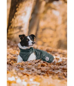 New Manteau avec doublure en polaire Teddy pour chien Archie, 160 g Manteaux D'Hiver Avec Garnissage, À Partir De 50G