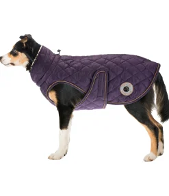 Sale Manteau avec doublure en polaire Teddy pour chien Archie, 160 g Manteaux D'Hiver Avec Garnissage, À Partir De 50G
