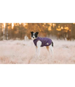 Sale Manteau avec doublure en polaire Teddy pour chien Archie, 160 g Manteaux D'Hiver Avec Garnissage, À Partir De 50G